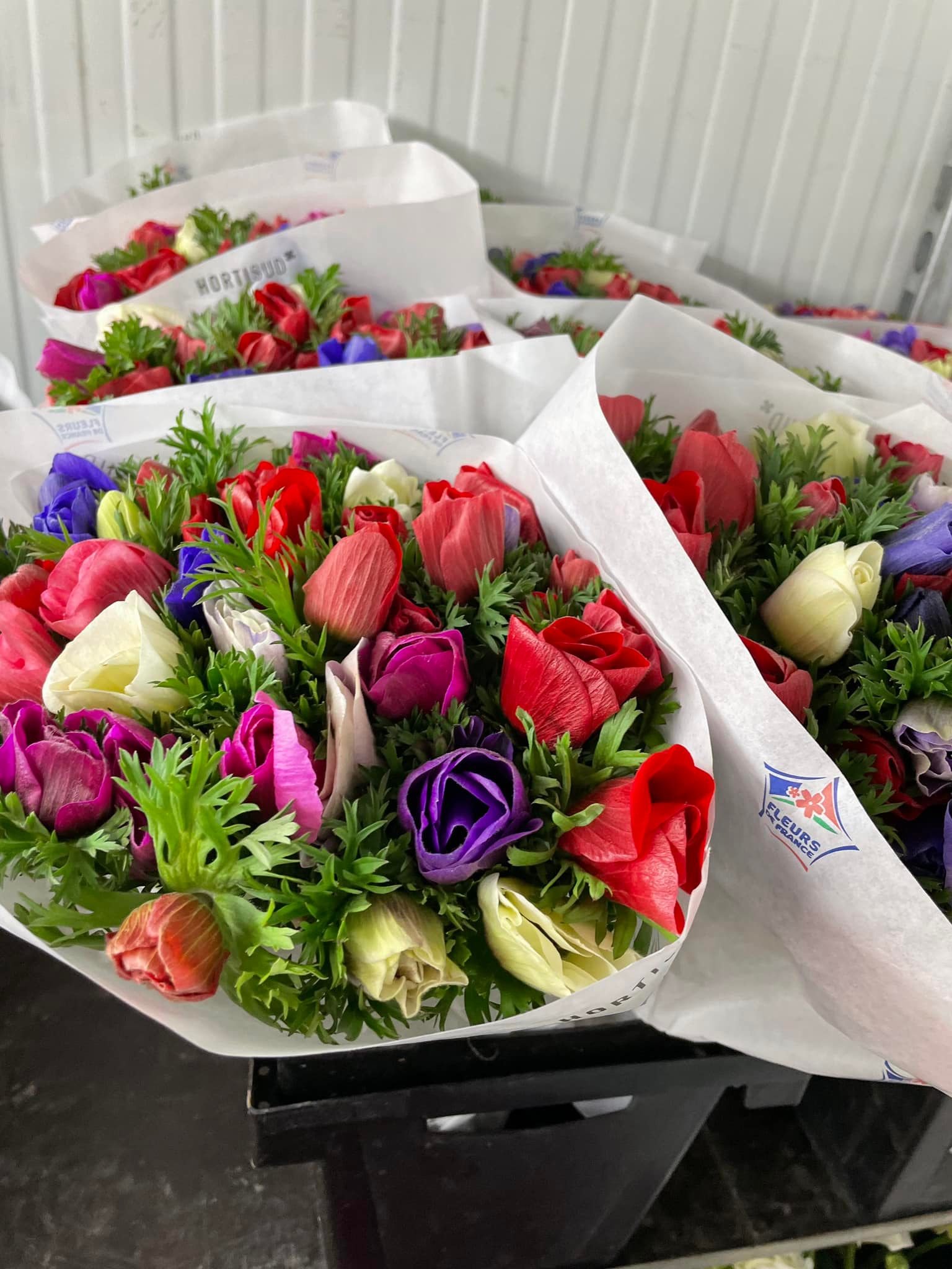 Fleurs de saison Hugo Le Fleuriste