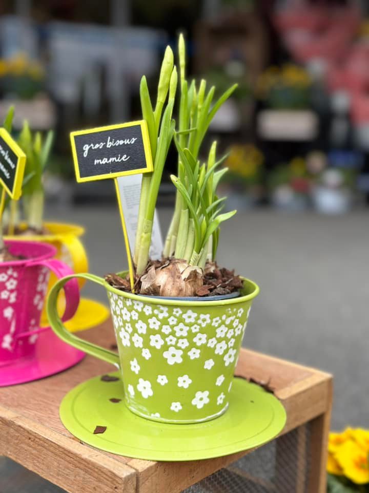 Anniversaires et Fêtes Hugo Le Fleuriste