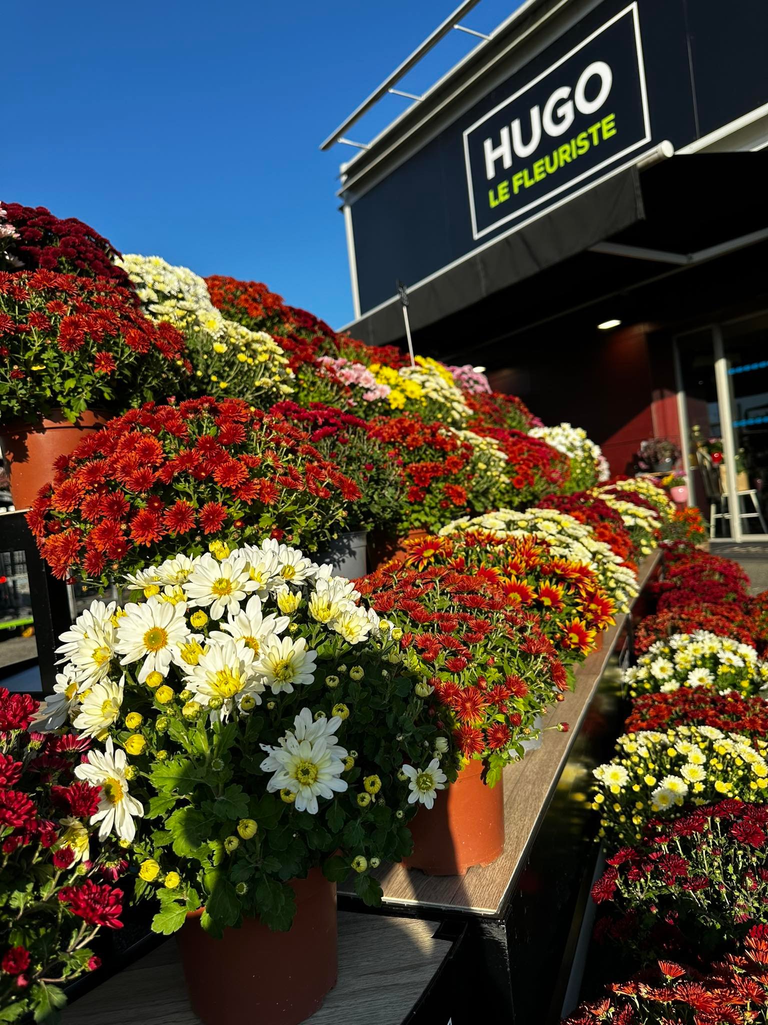 Fleurs de saison Hugo Le Fleuriste