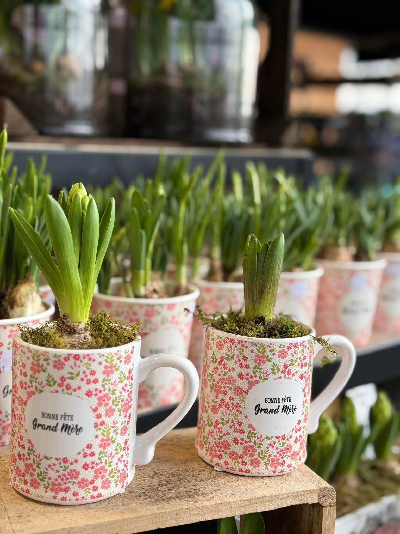 Fleurs de saison Hugo Le Fleuriste