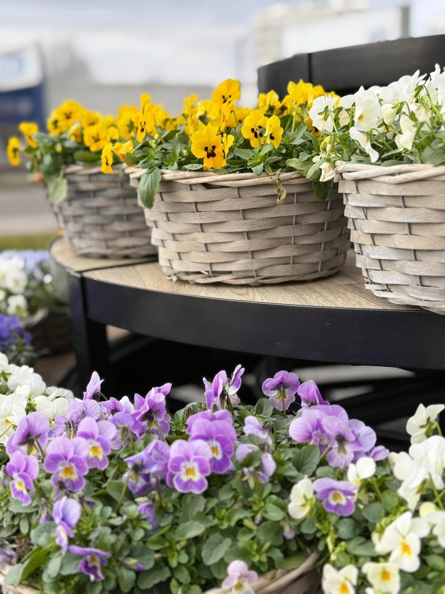 Fleurs de saison Hugo Le Fleuriste